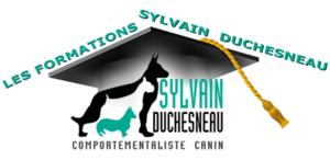 Les Formations Sylvain Duchesneau Logo