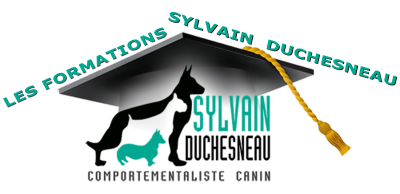 Les Formations Sylvain Duchesneau Logo