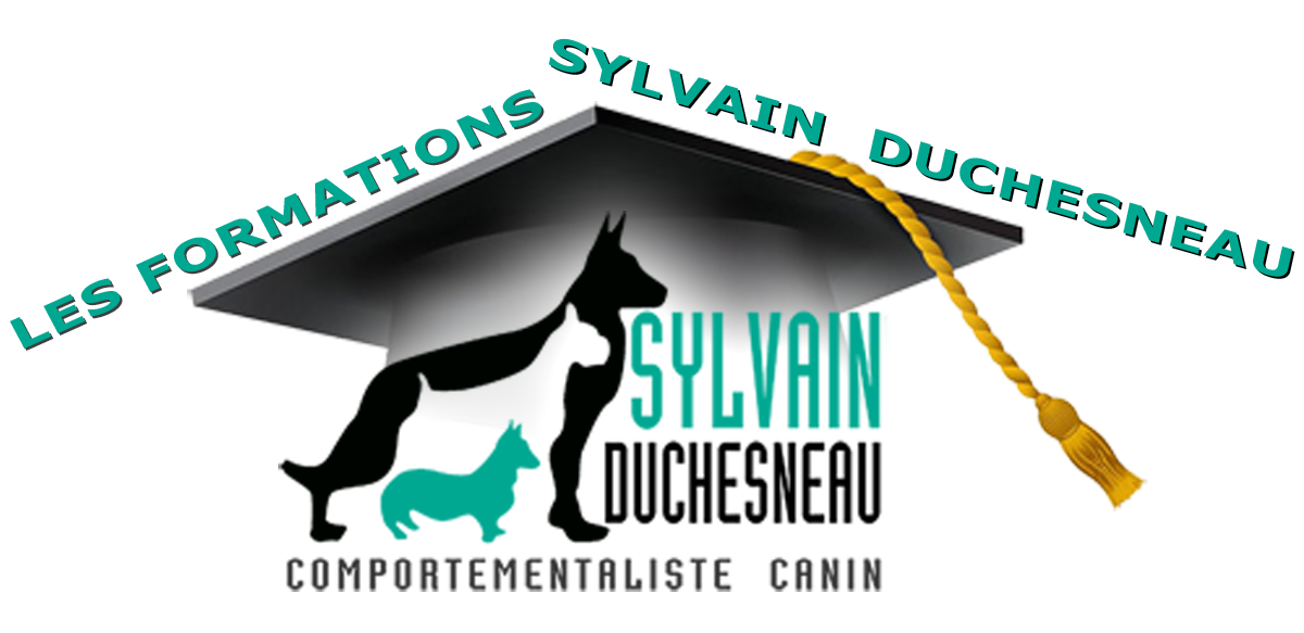 Dressage de chiens. Éducation canine. Documents de cours