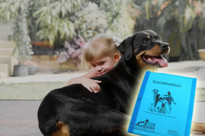 socialisation canine - documents de cours