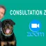 Comportementaliste canin - consultation Zoom