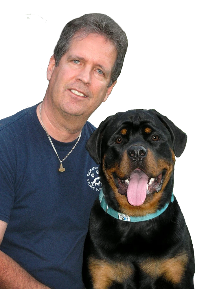 Consultation-vidéo avec Sylvain Duchesneau, comportementaliste Canin