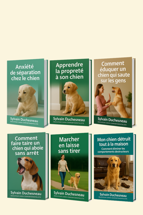 Coffret 6 eBooks Éducation Canine Sylvain Duchesneau