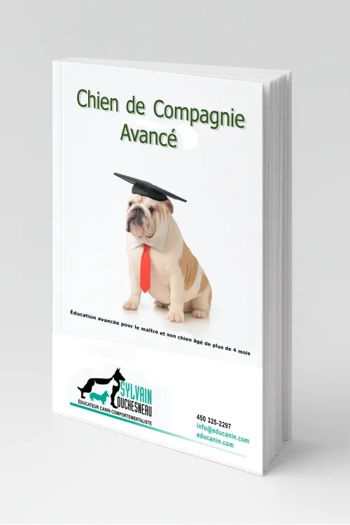 Document de cours Chien de Compagnie Avancé – couverture 3D avec un bulldog portant une casquette de graduation et une cravate rouge.