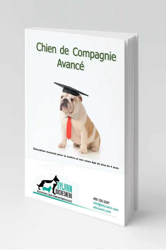 Document de cours Chien de Compagnie Avancé – couverture 3D avec un bulldog portant une casquette de graduation et une cravate rouge.