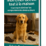 Chien faisant de la destruction de mobilier. eBook Mon chien détruit tout à la maison. Par Sylvain Duchesneau