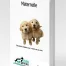 Document de cours Maternelle pour chiots – couverture 3D avec deux chiots Golden Retriever sur fond blanc, l’un assis calmement, l’autre joueur.