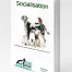 Document de cours sur la socialisation du chien – couverture 3D avec un grand danois, un perroquet, un chat, un bouledogue français et un lapin.