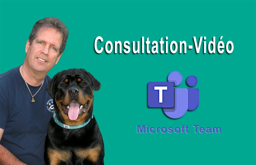 Consultation-Vidéo par Sylvain Duchesneau, comportementaliste canin