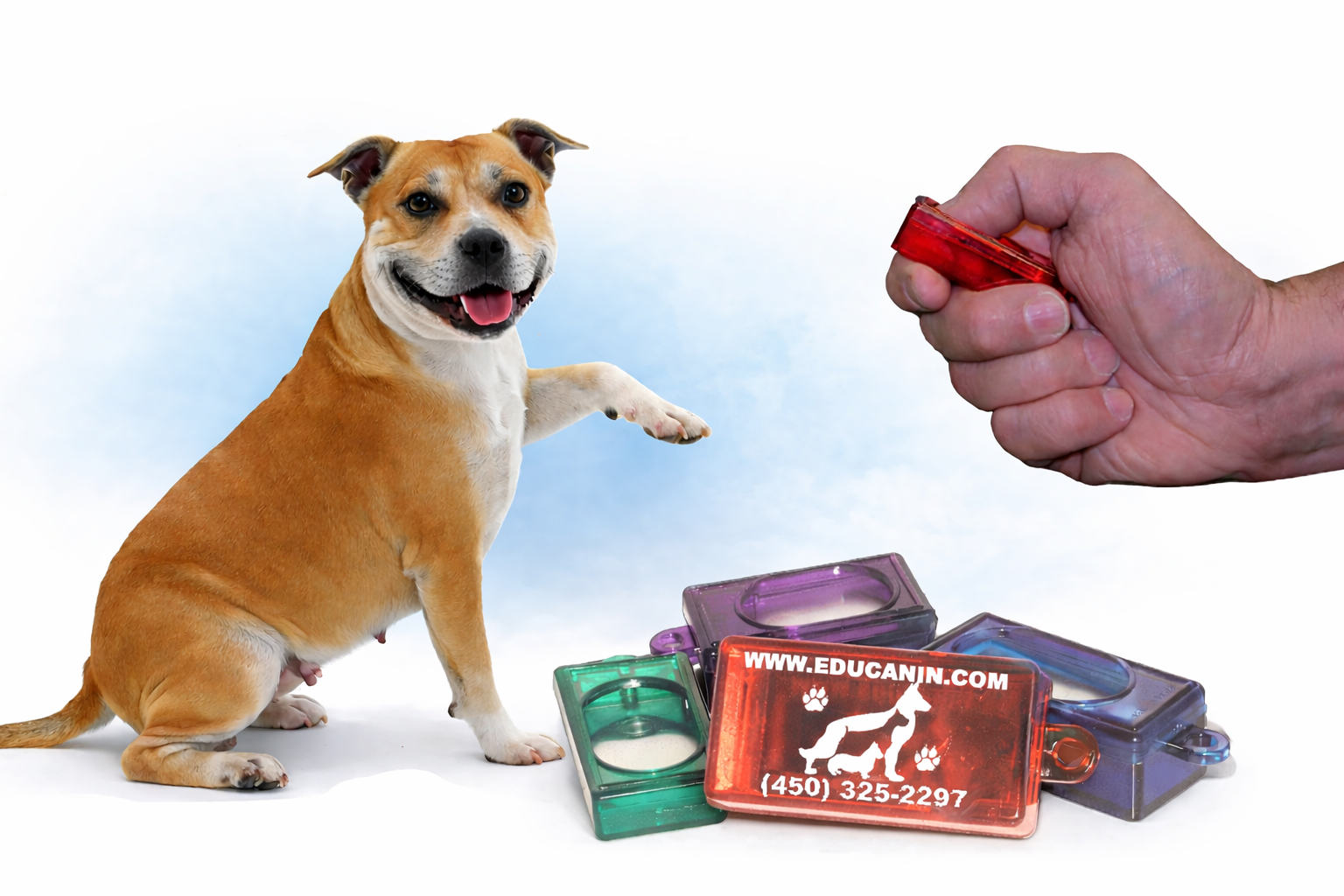 Réservation - Cours Initiation au clicker en Groupe -